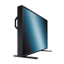 NEC MultiSync P521 product photo back M