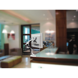 Newstar FPMA-D900 photo du produit back M