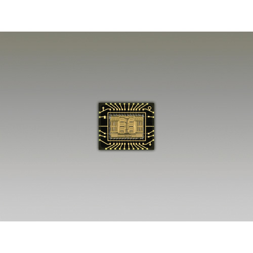 Canon EOS 1000D + EF-S 18-55 + EF 75-300 Produktbild side L