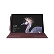 Microsoft Surface Pro Set Bordeauxrot Produktbild side S