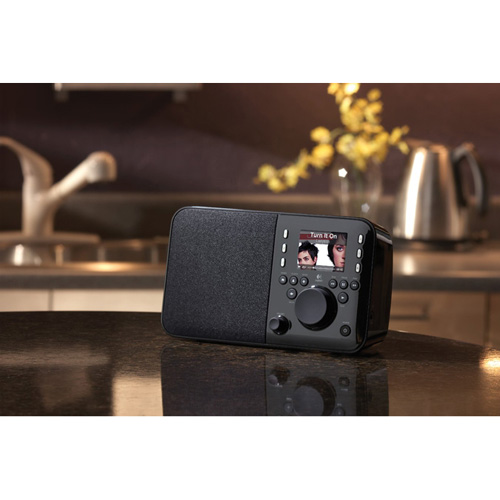 Logitech Squeezebox Radio product photo back L