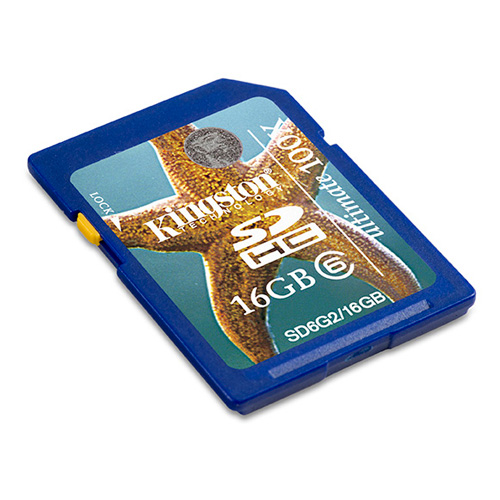 Kingston 16GB SDHC product photo back L