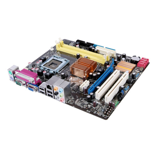 Asus P5KPL-AM IN/OEM photo du produit side L