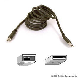 Belkin Pro Series Hi-Speed USB 2.0 Device Cable photo du produit front M